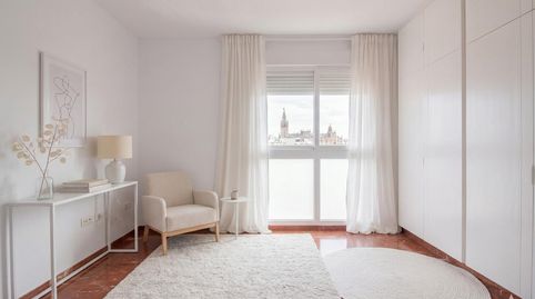 Foto 3 de Pis de lloguer a Calle San Pablo, 1, Alfalfa - Santa Cruz, Sevilla Capital