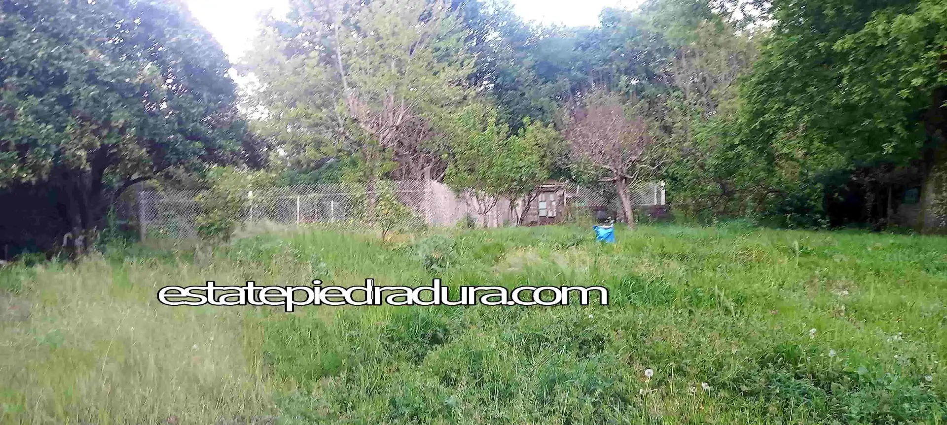 Casa o xalet en venda en Pontevedra Capital  amb Calefacció, Jardí privat i Parquet