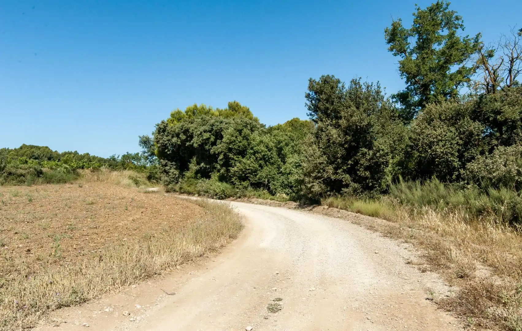 Casa rústica en venda a Carrer de la Serra de Dalt, imagen 13
