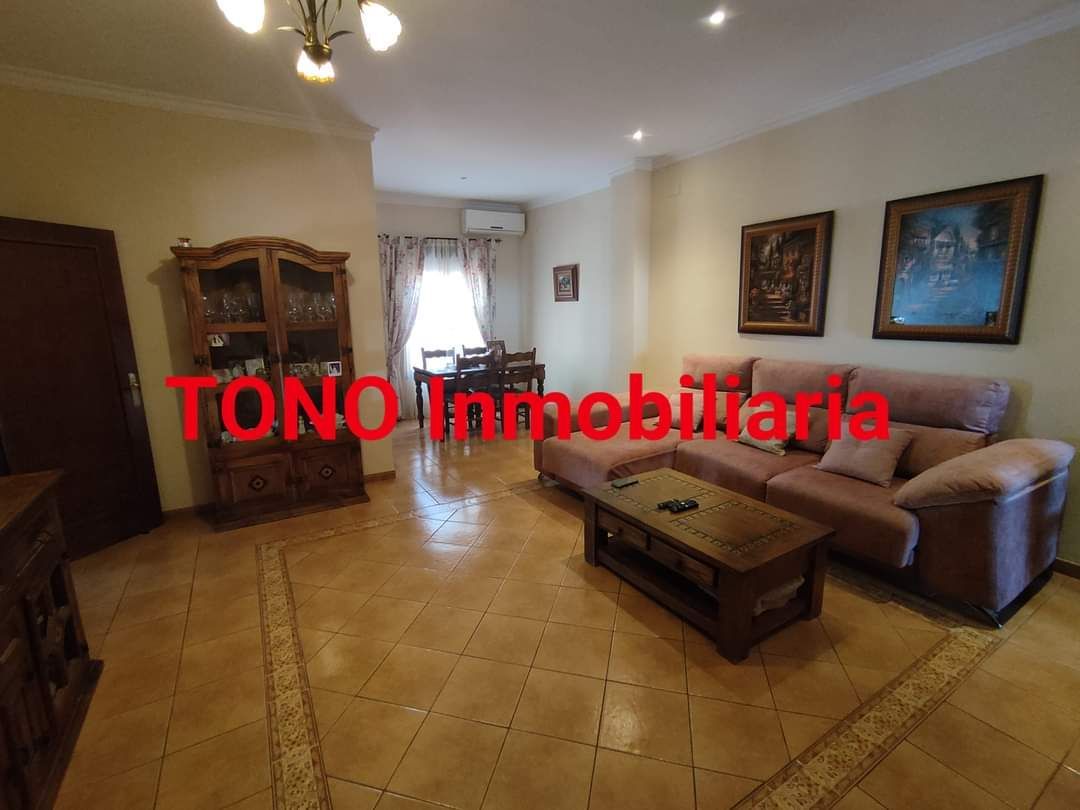 Sala d'estar de Casa o xalet en venda en Cañada Rosal amb Aire condicionat, Terrassa i Traster