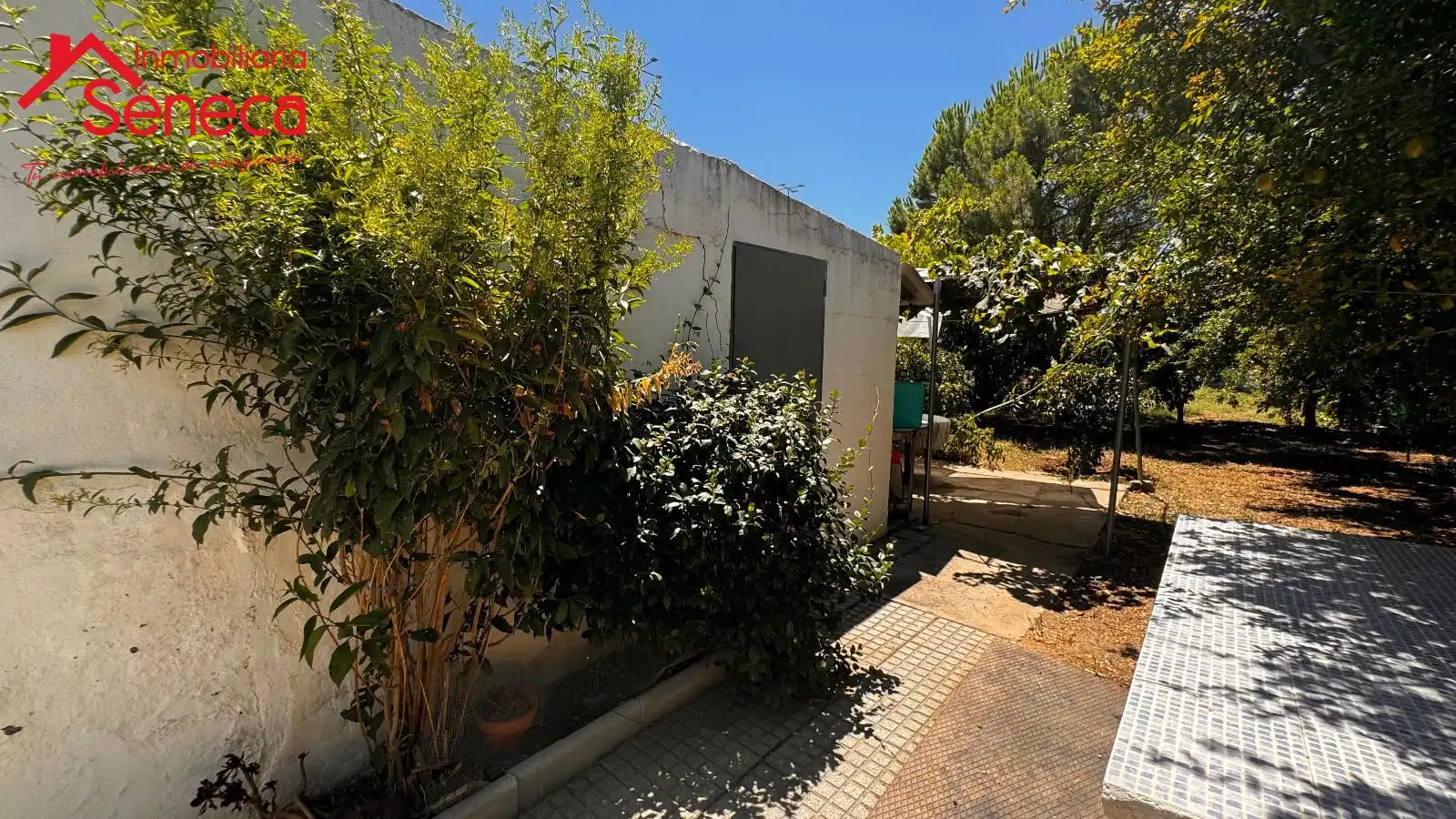 Casa o xalet en venda a El Higuerón