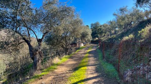 Foto 2 de Terreno en venta en La Nava, Huelva