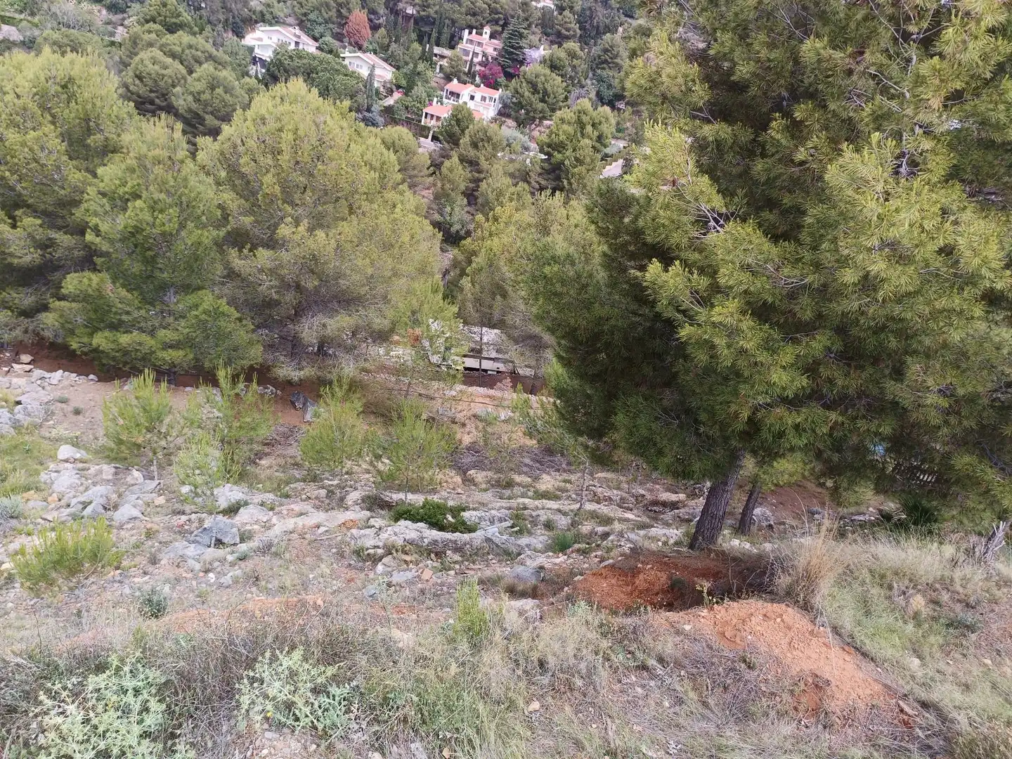 Lands and plots for sale in Borriol, imagen 5