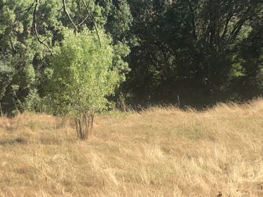 Terreno rustico in vendita a Cenicientos