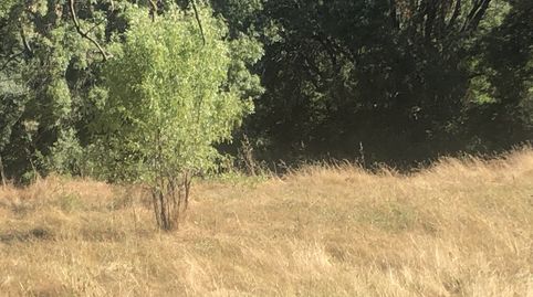 Finca rústica en Cenicientos
