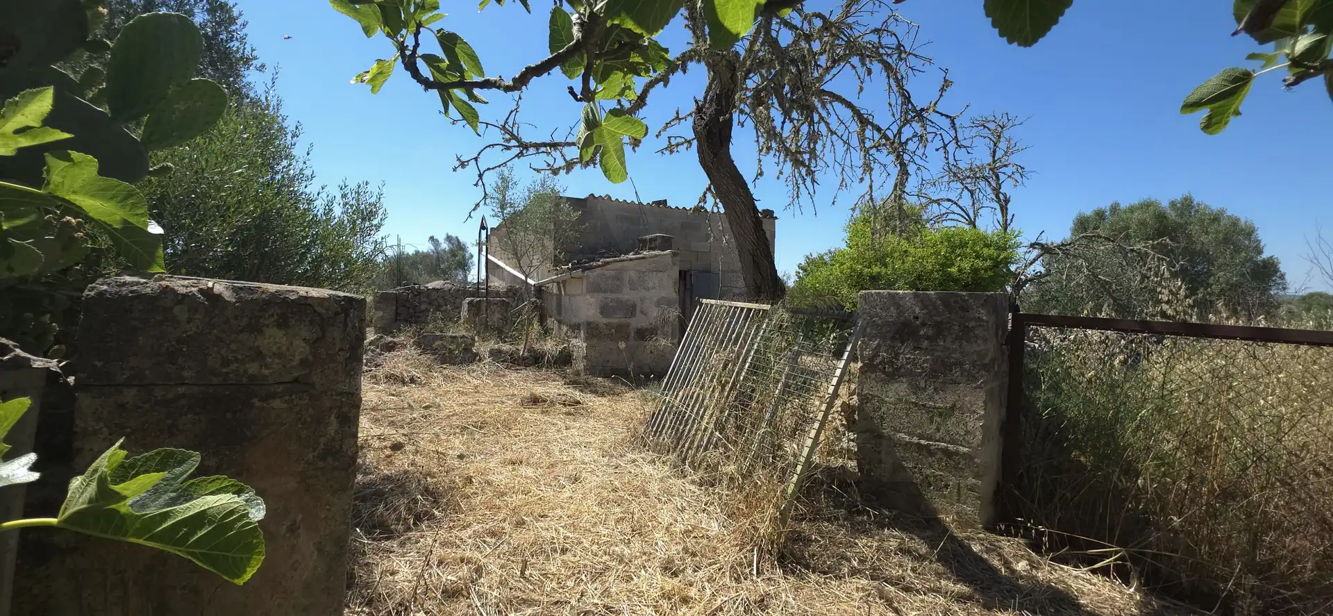 Rustikales Grundstück zum Verkauf in Santa Margalida Poble, imagen 20