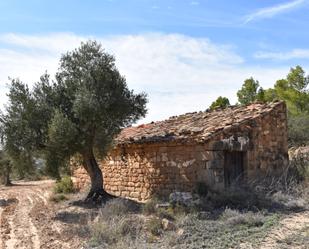 Exterior view of Land for sale in Mazaleón