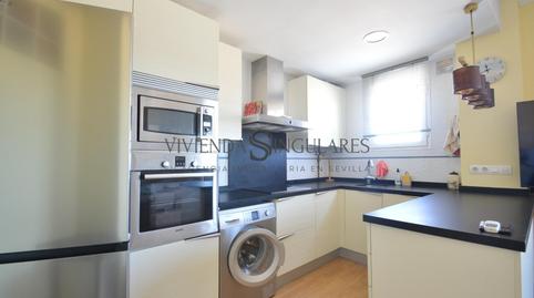 Photo 4 of Flat to rent in San Carlos - San José,  Sevilla Capital