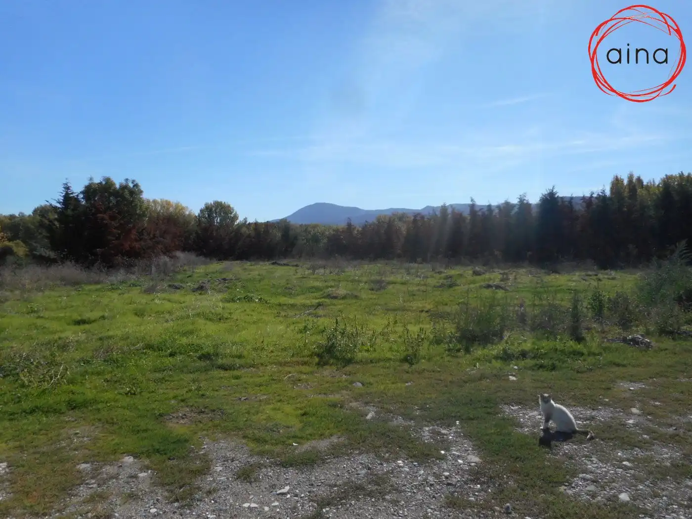 Wohnbaugrundstück zum Verkauf in Gallipienzo / Galipentzu, imagen 12