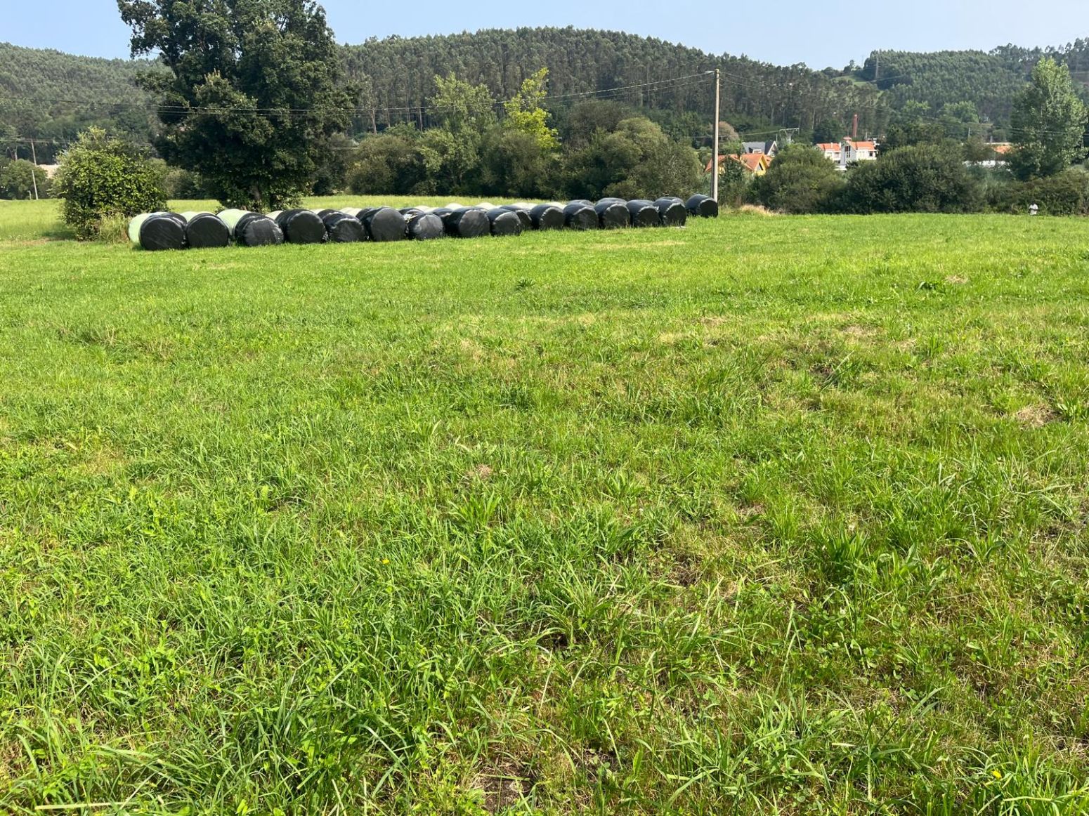 Residential for sale in Piélagos