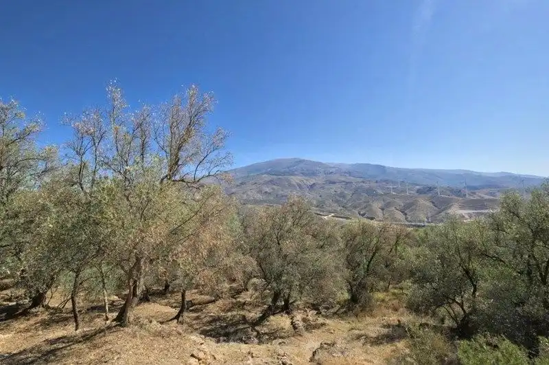 Terreno rustico in vendita a El Pinar, imagen 32