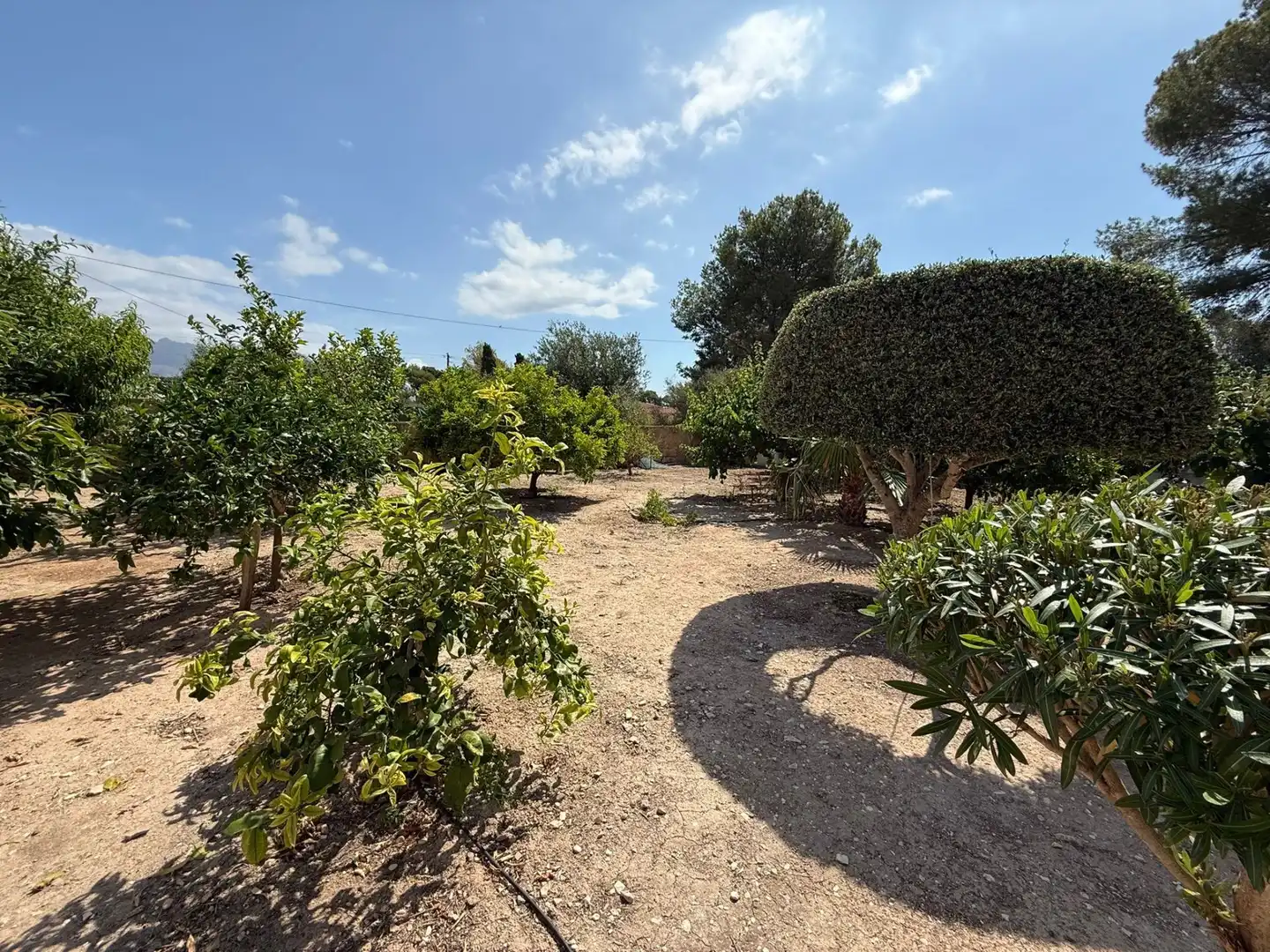 Casa con jardín en venta en Pueblo - Urbanizaciones, imagen 28