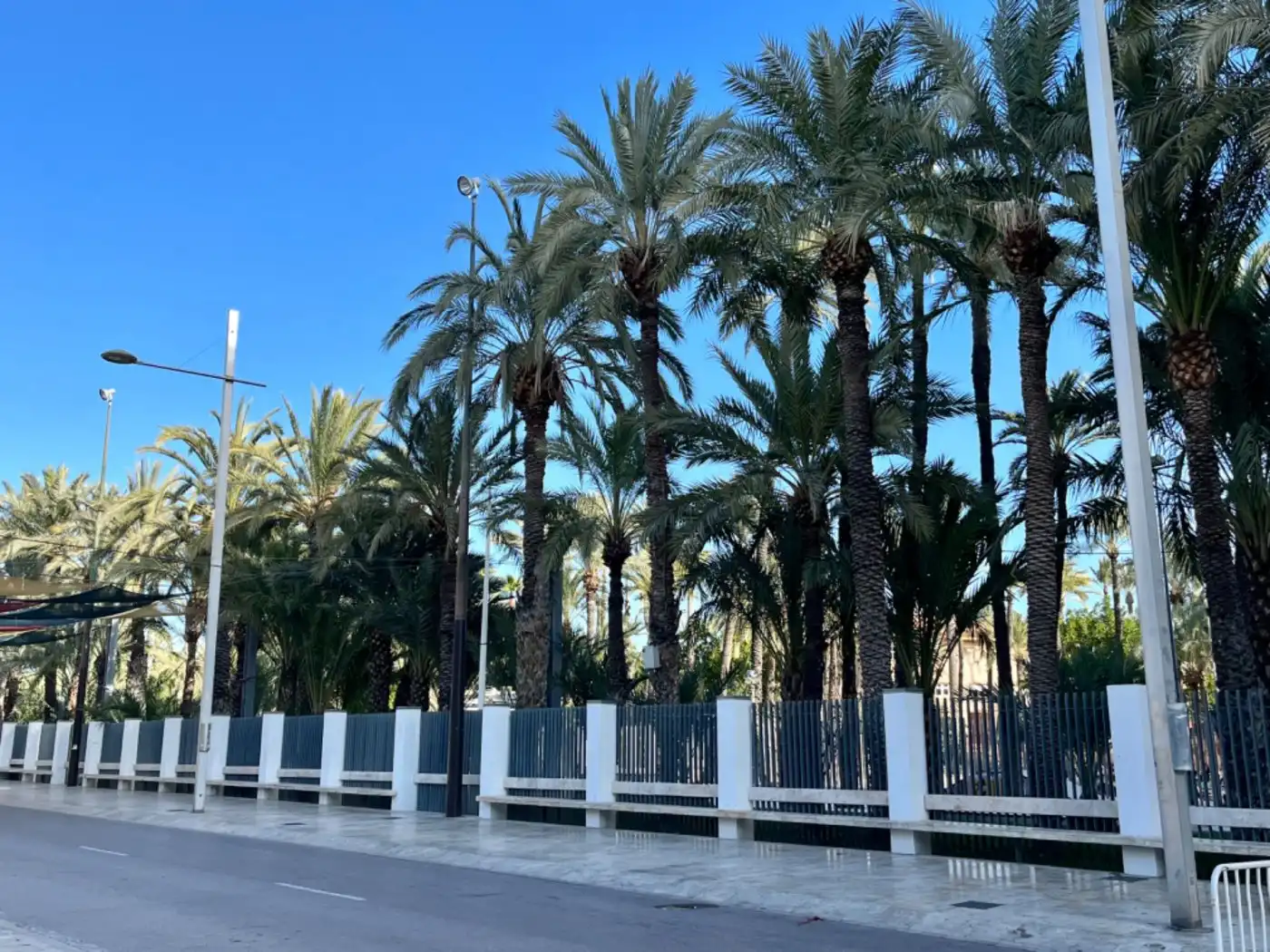 Exterior view of Ground floor for sale in Elche / Elx