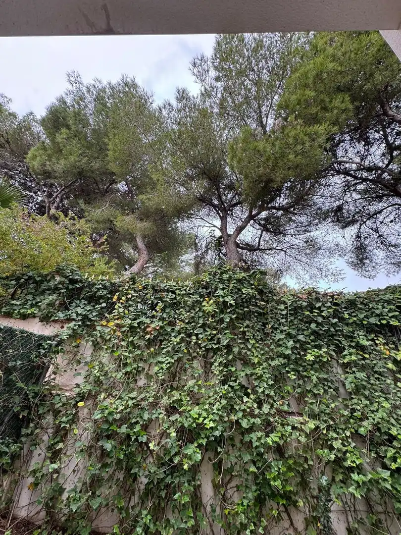 Reihenhaus mit Pool zum Verkauf in Orihuela Costa, imagen 11