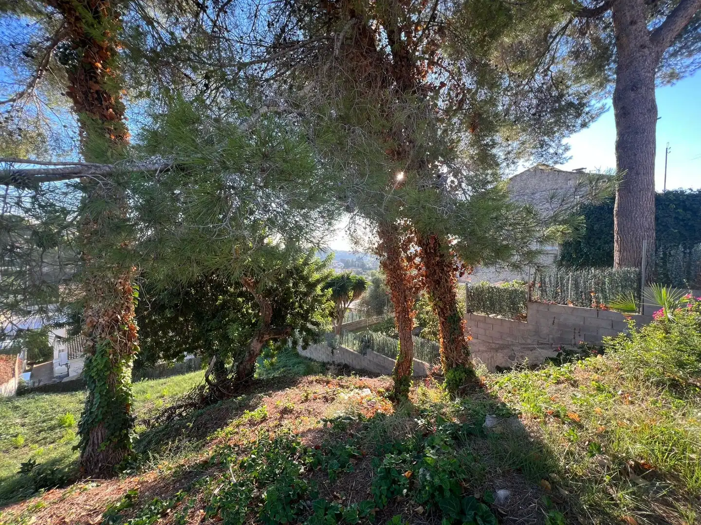 Terreno residencial en venta en Mas Trader - Corral d'En Tort - Corral d'En Cona, imagen 5
