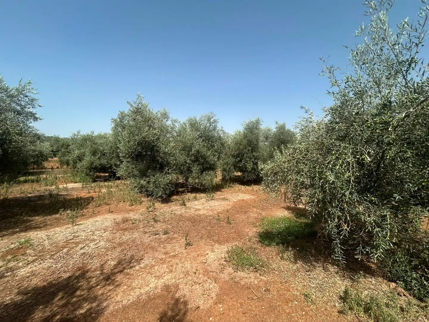 Country homes for sale in Antequera  with Private garden, Storage room and Swimming Pool