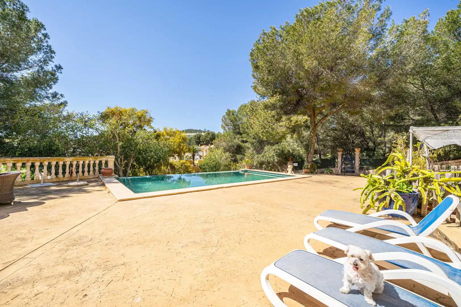 Jardí de Casa o xalet en venda en Calvià amb Aire condicionat, Calefacció i Jardí privat