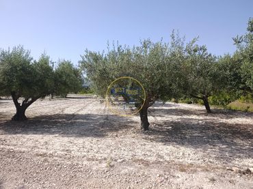 Terreno rústico en venta en Sant Josep - Zona Hospital