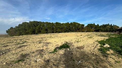 Foto 3 de Residencial en venda a Mar Jonico (sec. Los Villares II) Pol 107 Par 32, S/n, Santiago - Coronación, Cádiz