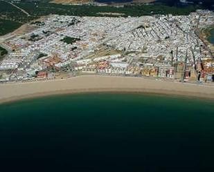 Vista exterior de Casa o xalet en venda en Chiclana de la Frontera amb Aire condicionat, Jardí privat i Terrassa