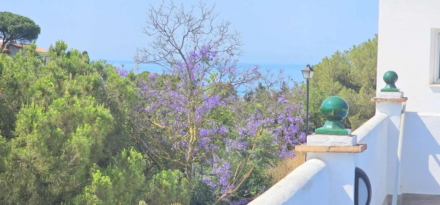 Vista exterior de Planta baja de alquiler en Vélez-Málaga con Aire acondicionado, Terraza y Piscina