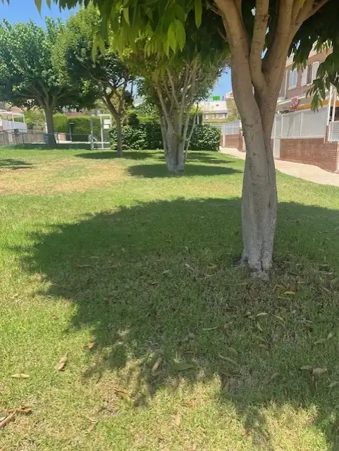 Vista exterior de Dúplex en venta en Murcia con Terraza, Trastero y Piscina comunitaria