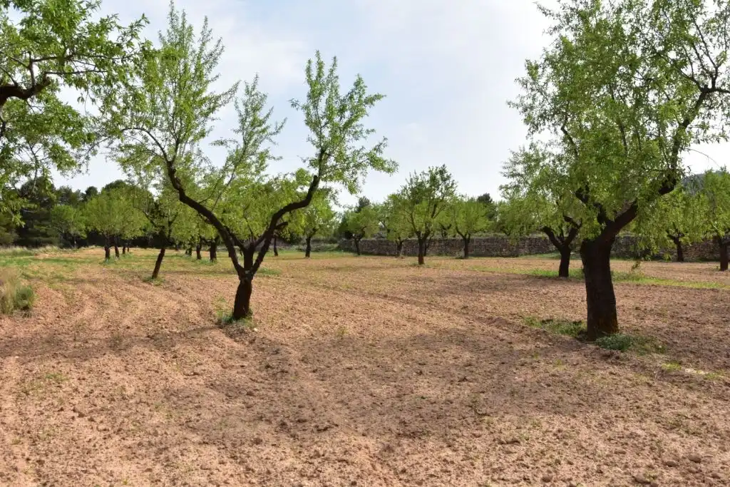Country homes for sale in Ráfales