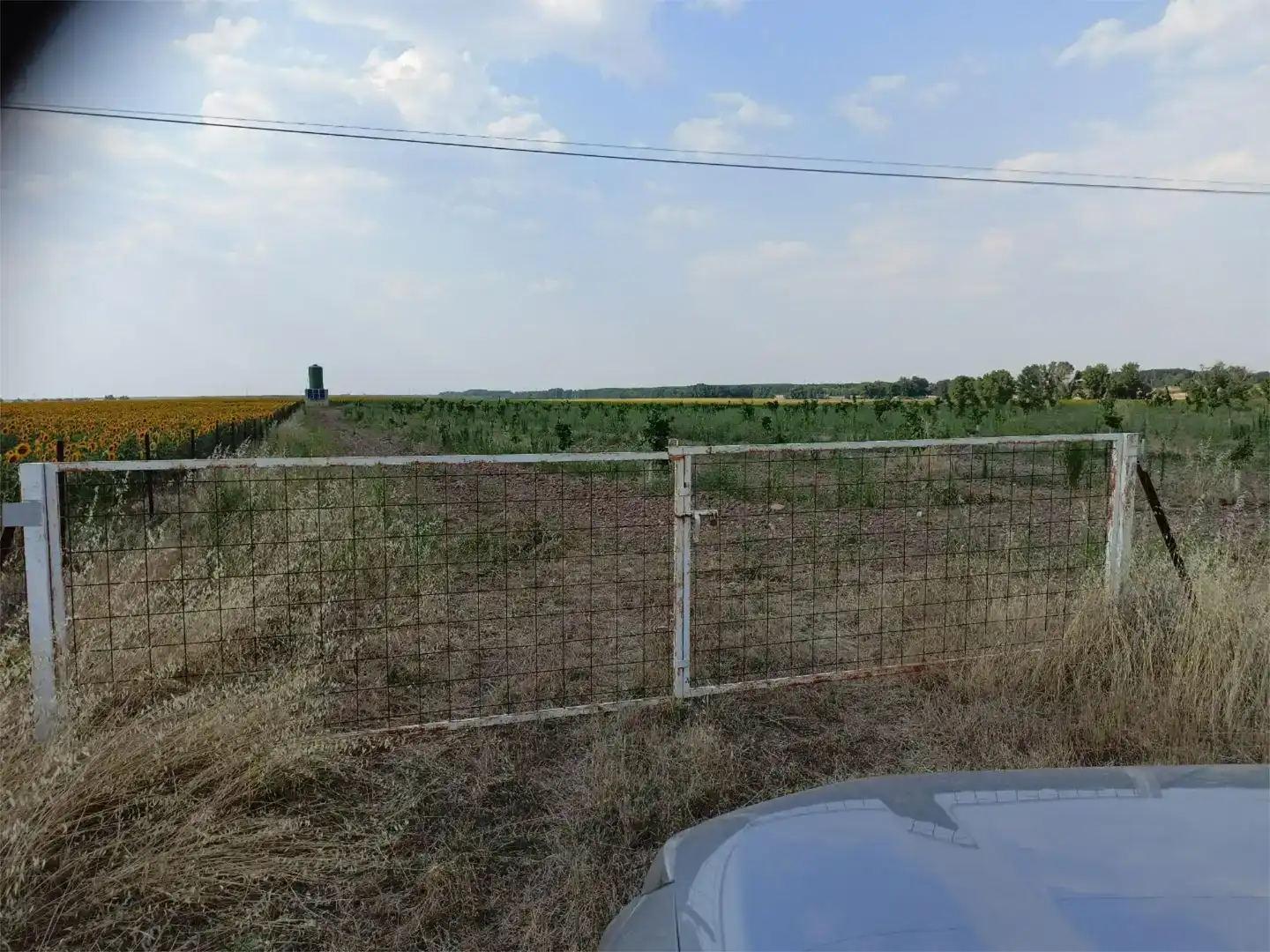 Land for sale in Aguilafuente