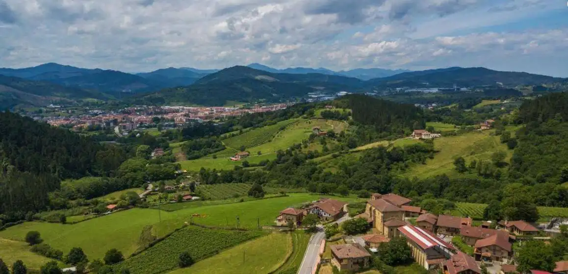 Vista exterior de Casa o xalet en venda en Amorebieta-Etxano amb Calefacció i Terrassa