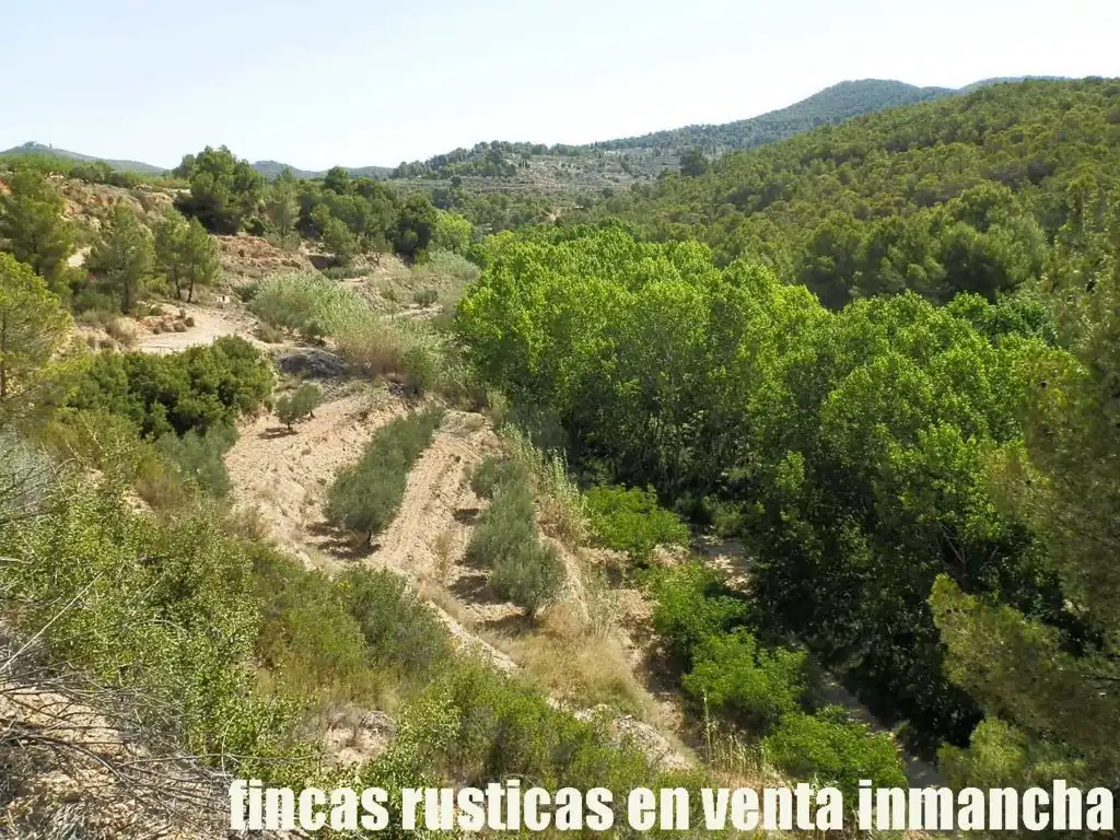 Terreny rústic en venda a Jijona / Xixona, imagen 20