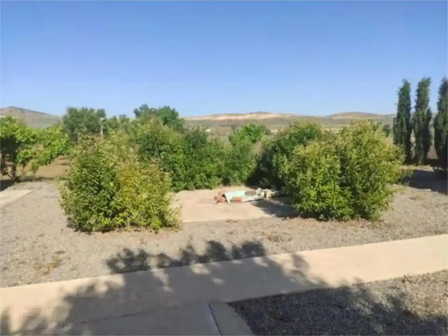 Finca rústica en venda en Consuegra amb Jardí privat i Moblat