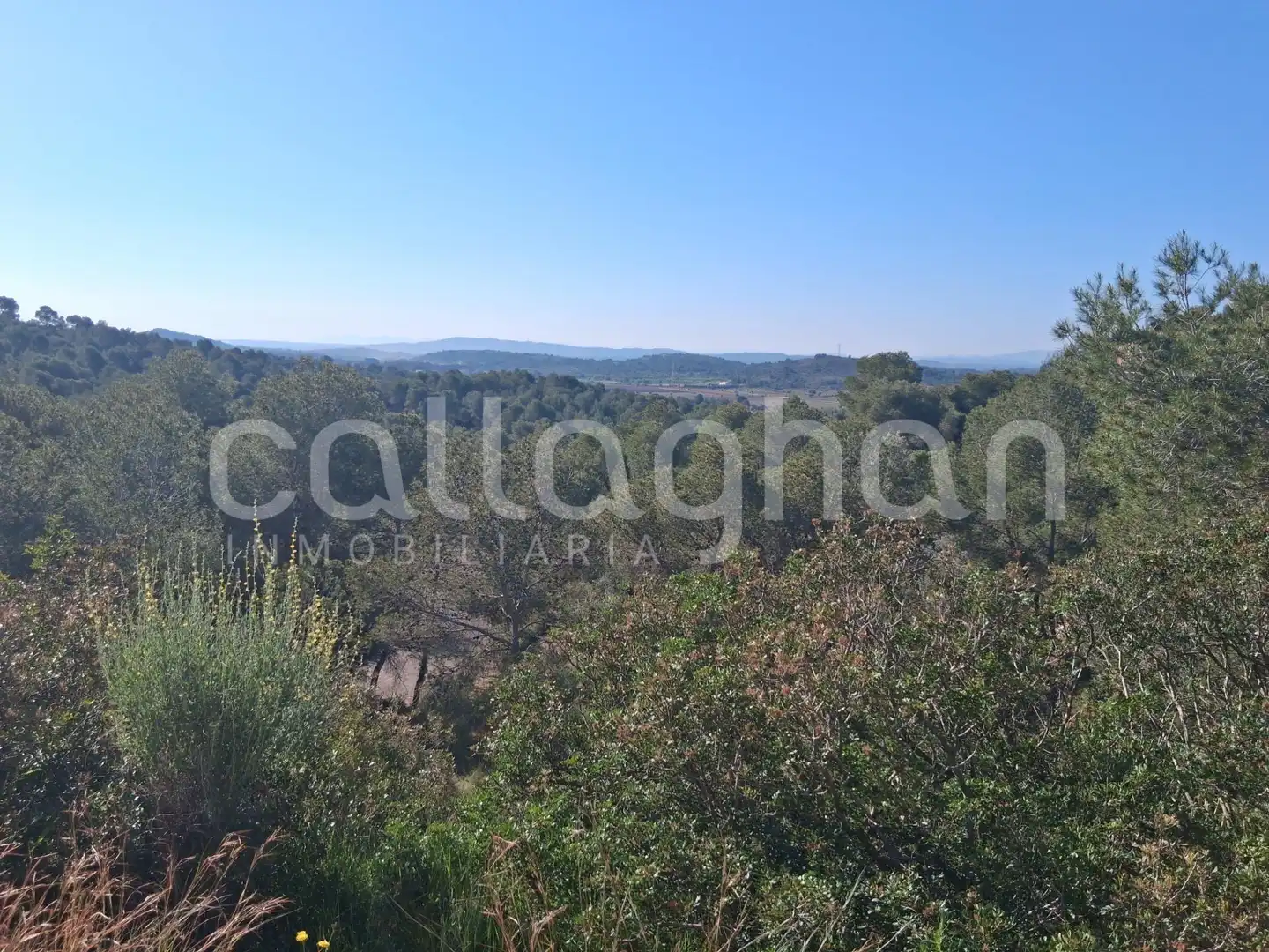 Residential land for sale in Camino de la Creu d'Horquera, imagen 21