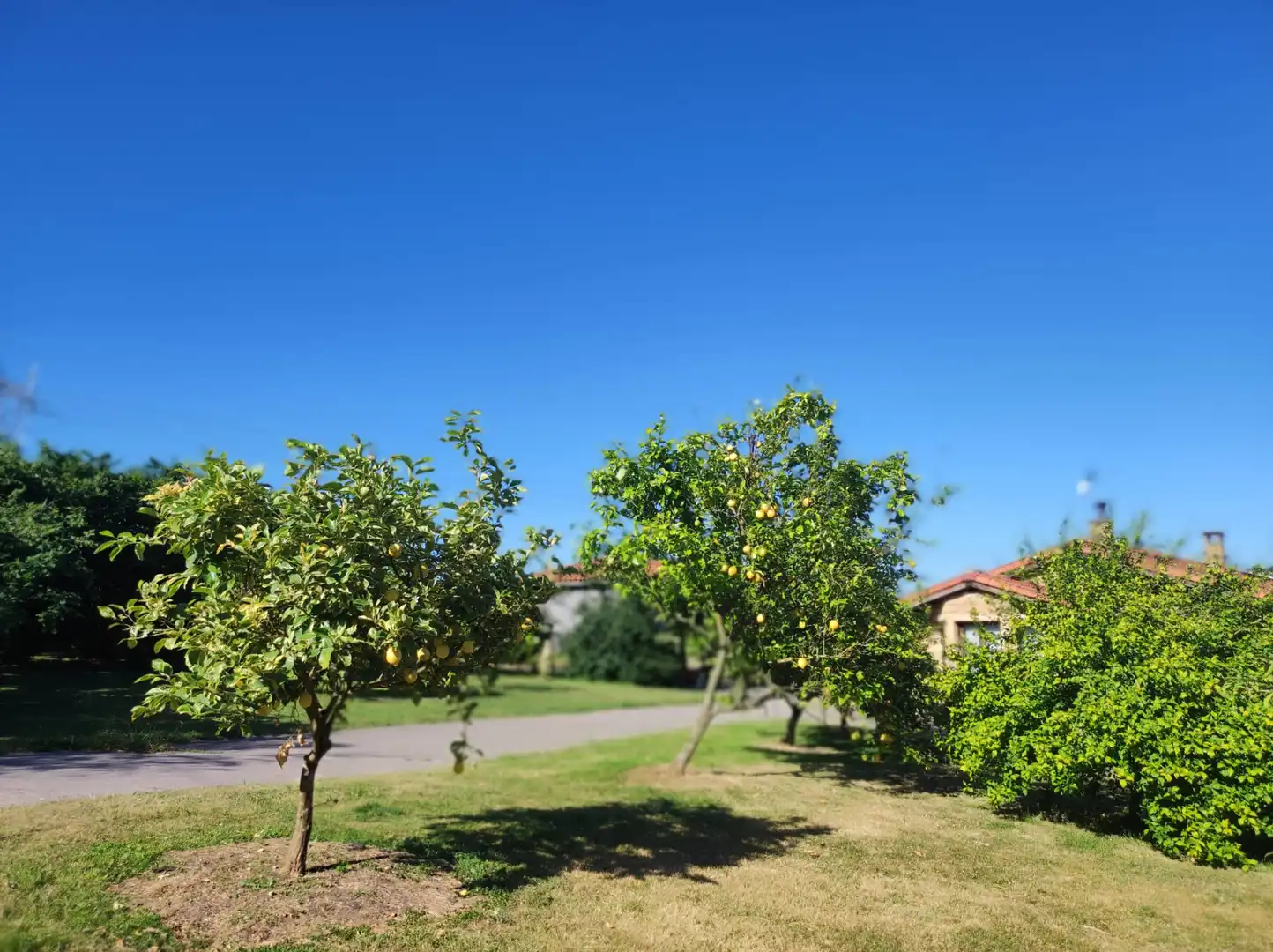 Chalet con jardín en venta en Carretera de la Granda, imagen 57