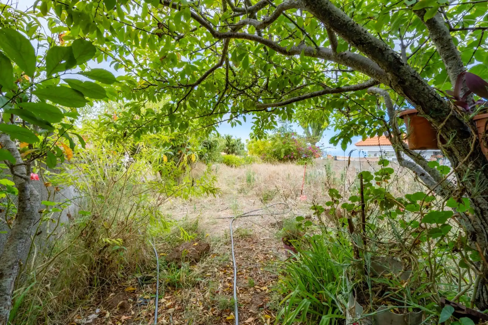 Villa à vendre à Avenida Avenida de Colón, 06, imagen 57
