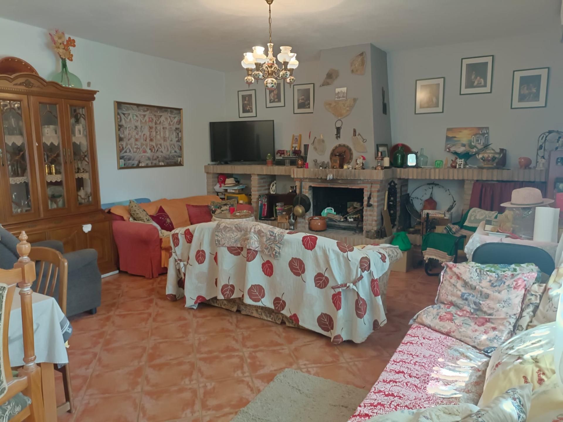 Sala d'estar de Finca rústica en venda en Málaga Capital amb Terrassa