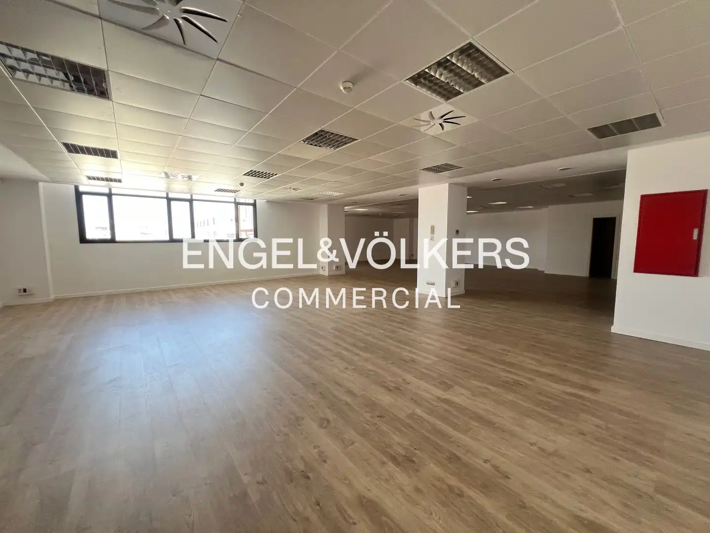 Oficina de lloguer a El Gall, imagen 3