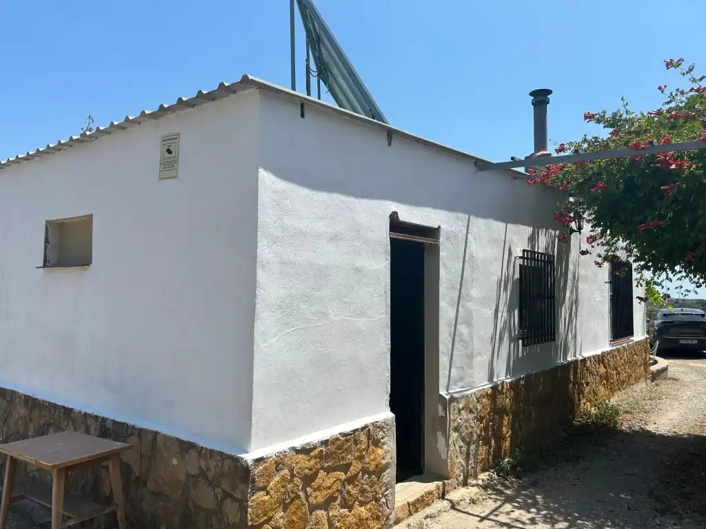 Vista exterior de Finca rústica en venta en Sot de Ferrer