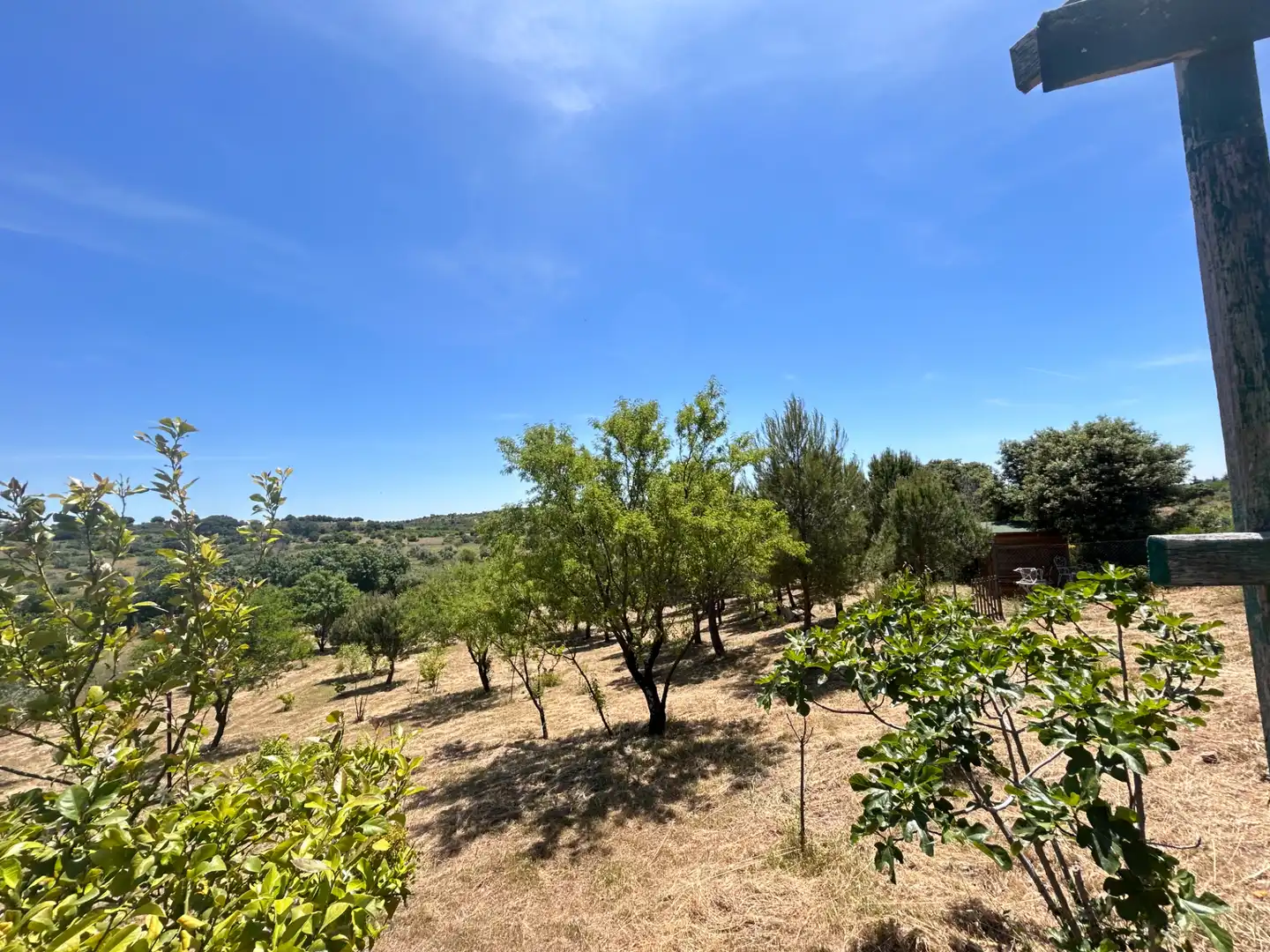 Finca rústica en venda en Cadalso de los Vidrios amb Jardí privat i Moblat