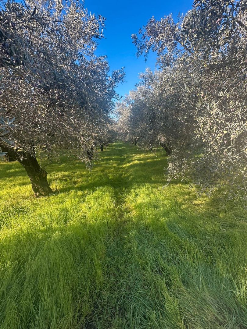 Casa o xalet en venda en  Córdoba Capital amb Moblat