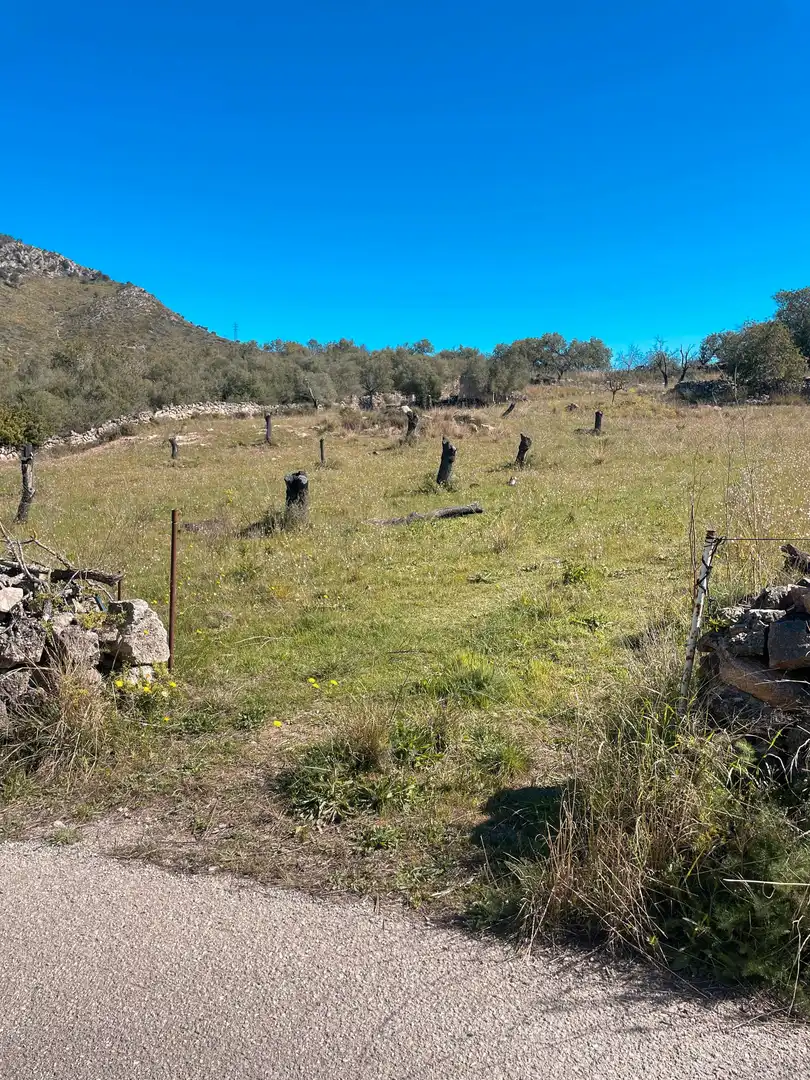 Rural land for sale in Sant Llorenç des Cardassar, imagen 15