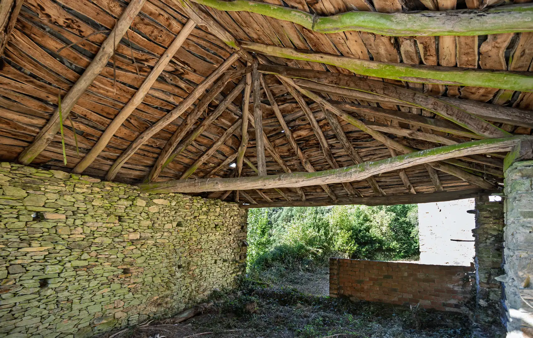 Vista exterior de Finca rústica en venda en Becerreá