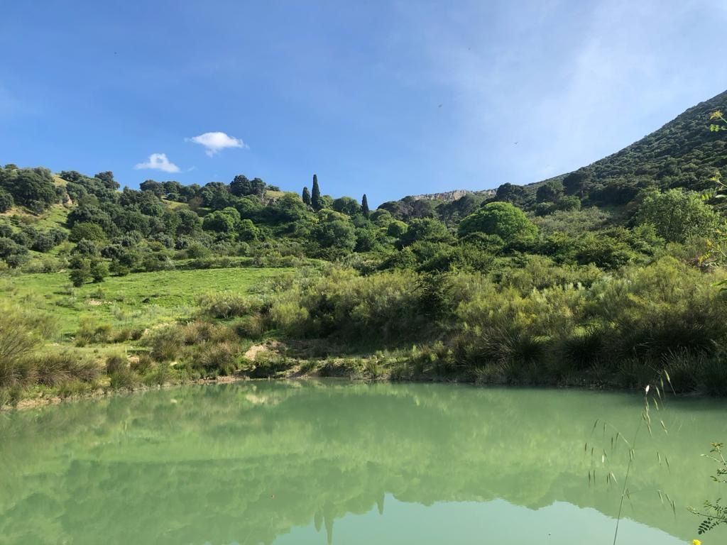 Grundstücke zum verkauf in  Jaén Capital