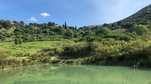 Photo 2 of Land for sale in Jabalcuz, Jaén