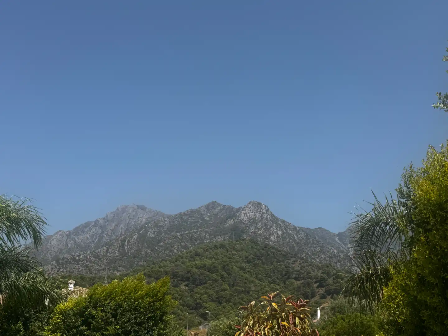 Exterior view of Residential for sale in Marbella