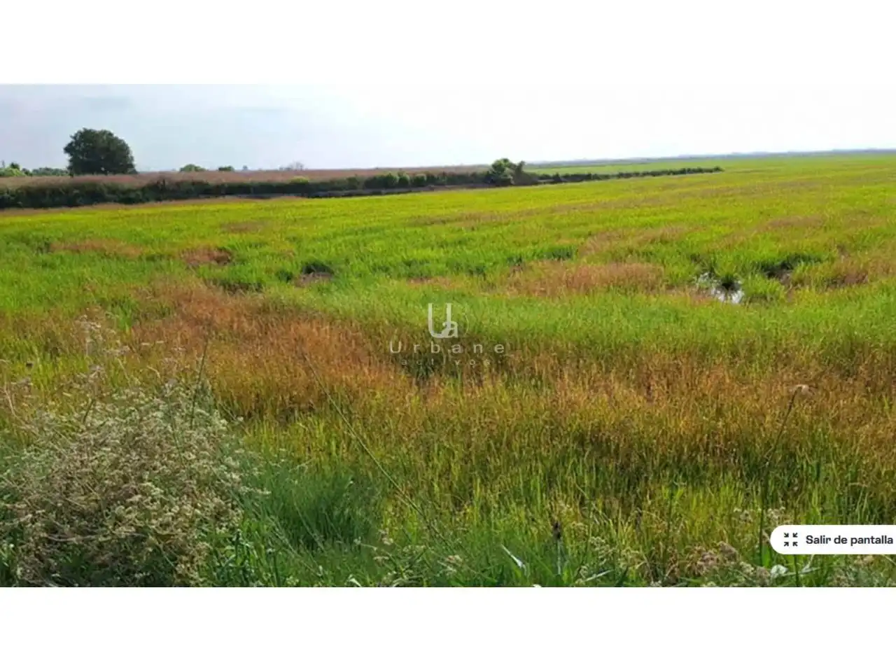 Rural land for sale in Camino Alter, imagen 7