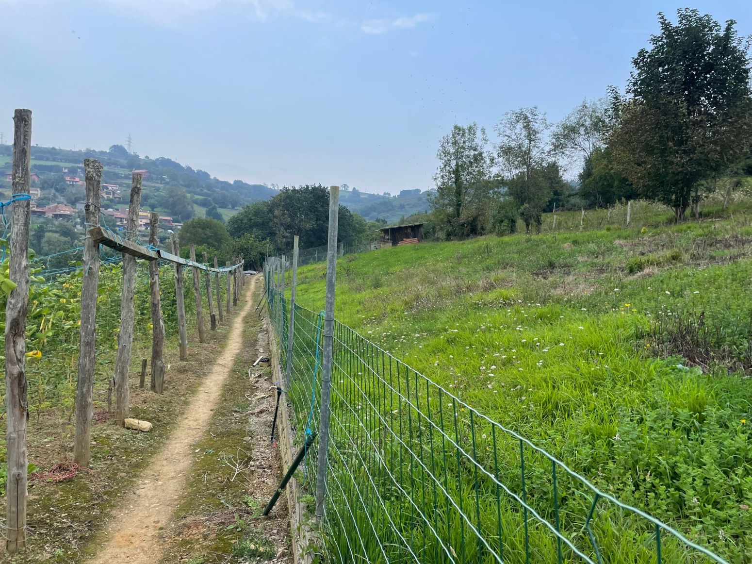 Residential for sale in Oviedo 