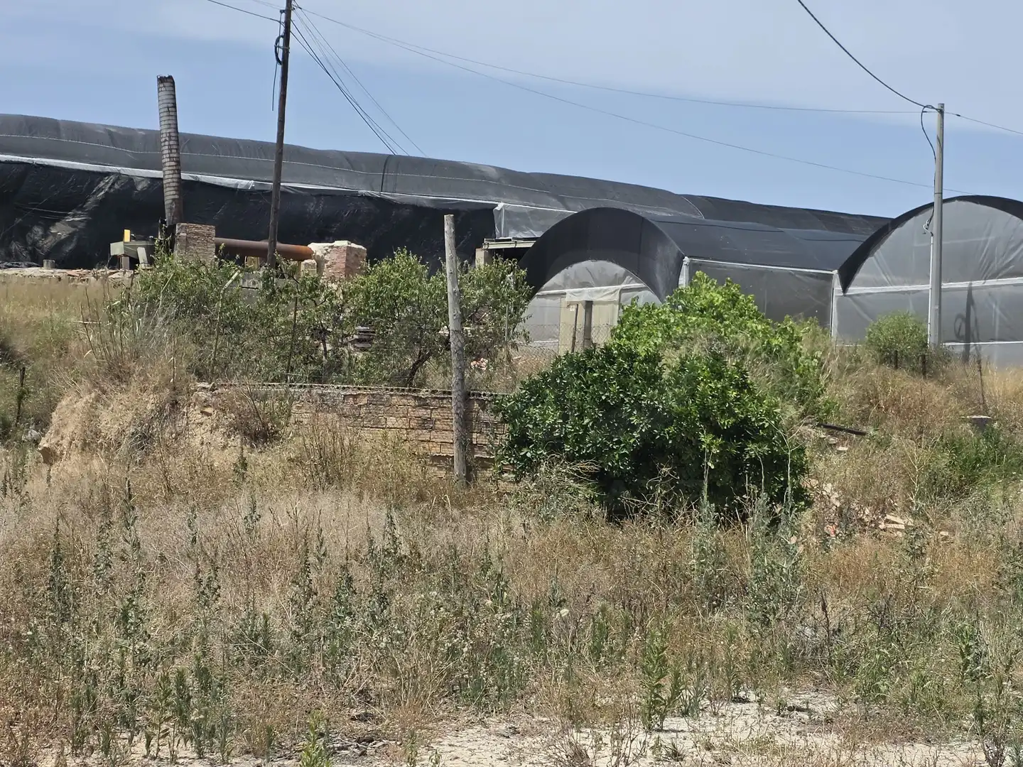 Residential land for sale in Calasparra, imagen 5