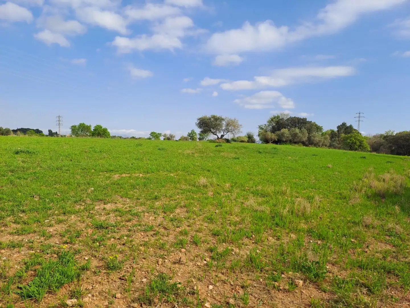 Land for sale in Terrassa