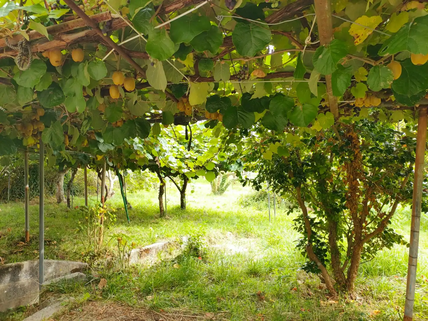 Jardí de Finca rústica en venda en Cedeira amb Jardí privat i Forn