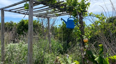 Foto 3 de Terreno en venta en Camí del Sedre, Cariñena - Carinyena, Vila-real